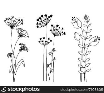 Hand drawn set of wild flowers. Isolated on white background.