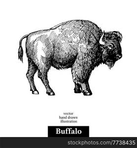 Hand drawn sketch animal Buffalo American Bison. Vector black and white vintage illustration. Isolated object on white background