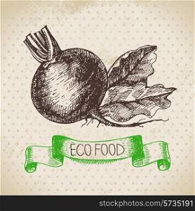 Hand drawn sketch beet vegetable. Eco food background.Vector illustration