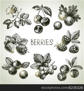Hand drawn sketch berries set. Vector illustration of eco food