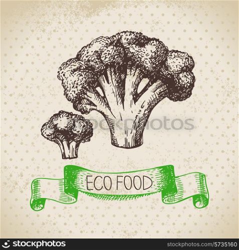 Hand drawn sketch broccoli vegetable. Eco food background.Vector illustration