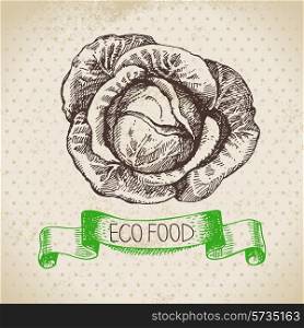 Hand drawn sketch cabbage vegetable. Eco food background.Vector illustration