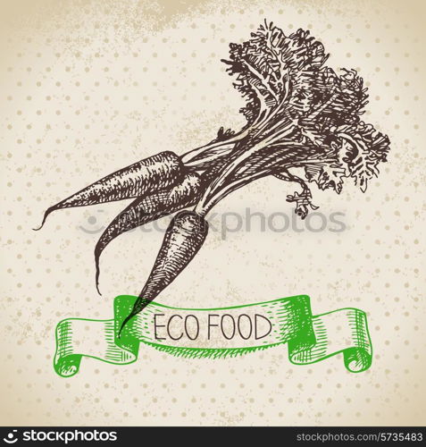 Hand drawn sketch carrots vegetable. Eco food background.Vector illustration