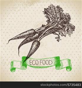 Hand drawn sketch carrots vegetable. Eco food background.Vector illustration
