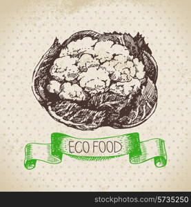 Hand drawn sketch cauliflower vegetable. Eco food background.Vector illustration