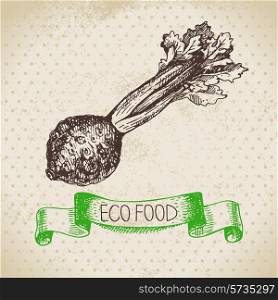 Hand drawn sketch celery vegetable. Eco food background.Vector illustration