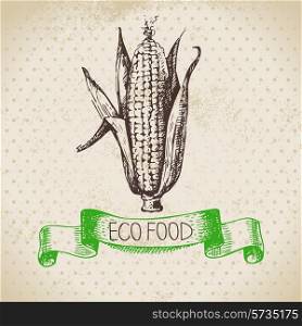 Hand drawn sketch corn vegetable. Eco food background.Vector illustration
