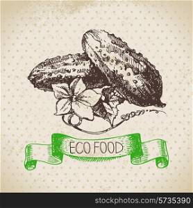 Hand drawn sketch cucumber vegetable. Eco food background.Vector illustration
