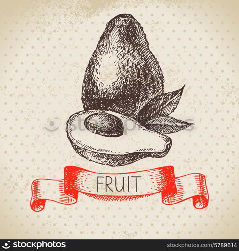 Hand drawn sketch fruit avocado. Eco food background. Vector illustration