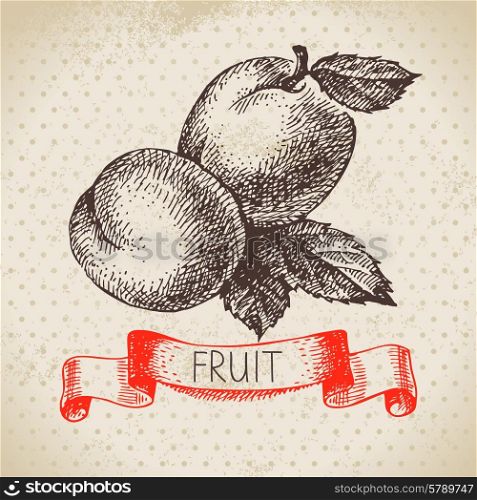 Hand drawn sketch fruit. Eco food background. Vector illustration