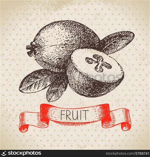 Hand drawn sketch fruit feijoa. Eco food background. Vector illustration