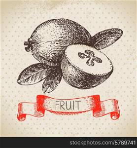 Hand drawn sketch fruit feijoa. Eco food background. Vector illustration