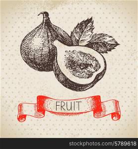 Hand drawn sketch fruit fig. Eco food background. Vector illustration