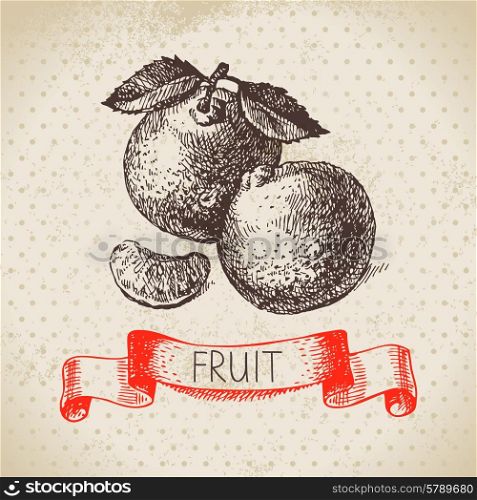 Hand drawn sketch fruit mandarin. Eco food background. Vector illustration