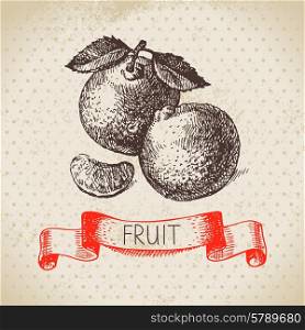 Hand drawn sketch fruit mandarin. Eco food background. Vector illustration