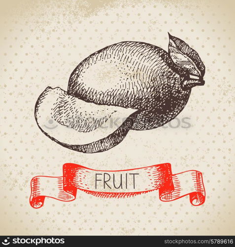 Hand drawn sketch fruit mango. Eco food background. Vector illustration