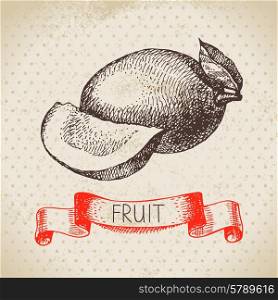 Hand drawn sketch fruit mango. Eco food background. Vector illustration