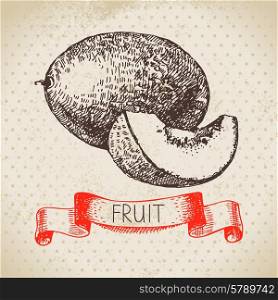 Hand drawn sketch fruit melon. Eco food background. Vector illustration