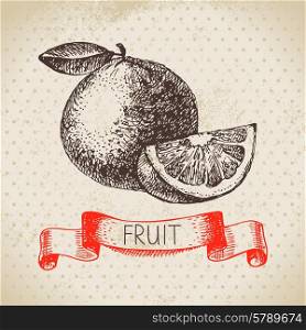 Hand drawn sketch fruit orange. Eco food background. Vector illustration