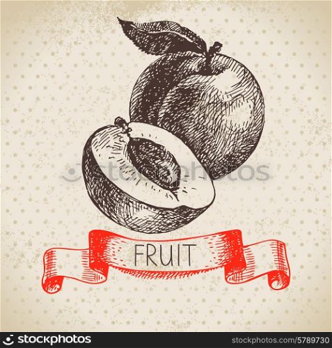 Hand drawn sketch fruit peach. Eco food background. Vector illustration