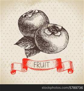 Hand drawn sketch fruit persimmon. Eco food background. Vector illustration&#x9;