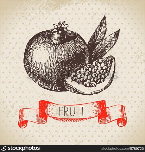 Hand drawn sketch fruit pomegranate. Eco food background. Vector illustration&#x9;