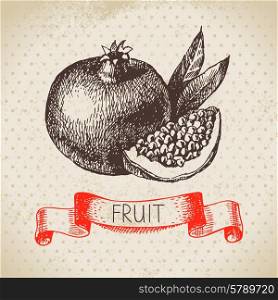 Hand drawn sketch fruit pomegranate. Eco food background. Vector illustration&#x9;