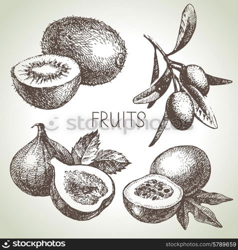 Hand drawn sketch fruit set. Eco foods. Vector illustration