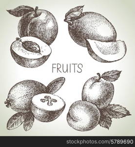 Hand drawn sketch fruit set. Eco foods. Vector illustration