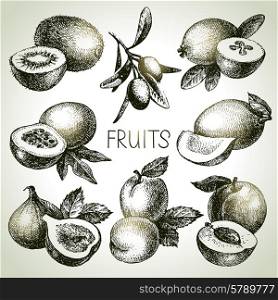Hand drawn sketch fruit set. Eco foods. Vector illustration