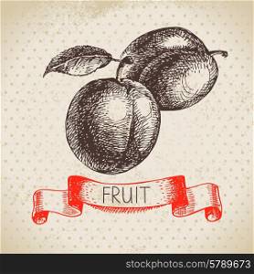 Hand drawn sketch fruits plum. Eco food background. Vector illustration