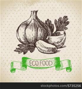 Hand drawn sketch garlic vegetable. Eco food background.Vector illustration