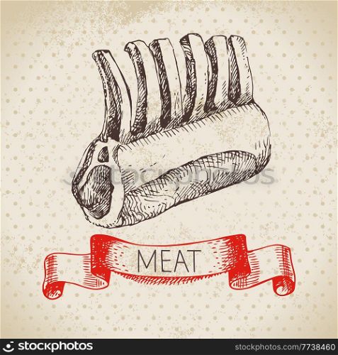 Hand drawn sketch meat product. Vector vintage lamb ribs illustration. Menu design