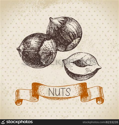 Hand drawn sketch nut vintage background. Vector illustration of eco food