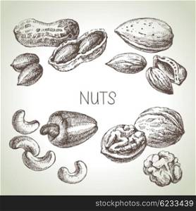 Hand drawn sketch nuts set. Vector illustration of eco food