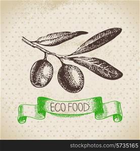 Hand drawn sketch olive vegetable. Eco food background.Vector illustration
