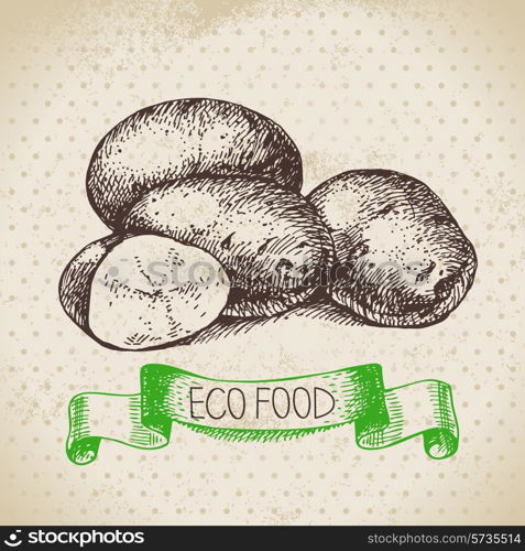 Hand drawn sketch potato vegetable. Eco food background.Vector illustration
