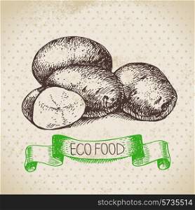 Hand drawn sketch potato vegetable. Eco food background.Vector illustration