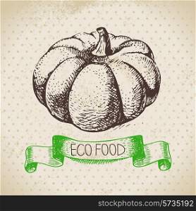Hand drawn sketch pumpkin vegetable. Eco food background.Vector illustration