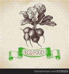 Hand drawn sketch radish vegetable. Eco food background.Vector illustration