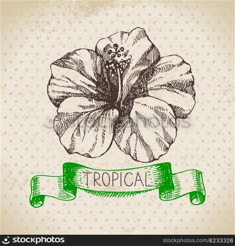 Hand drawn sketch tropical plants vintage background. Vector illustration