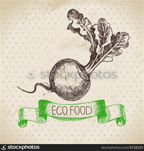 Hand drawn sketch turnip vegetable. Eco food background.Vector illustration