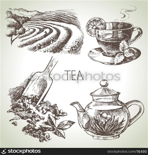 Hand drawn sketch vector tea set