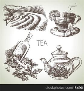 Hand drawn sketch vector tea set