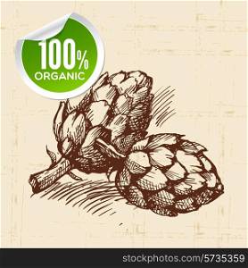 Hand drawn sketch vegetable artichoke. Eco food background.Vector illustration