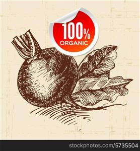 Hand drawn sketch vegetable beet. Eco food background.Vector illustration