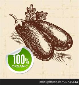 Hand drawn sketch vegetable eggplant. Eco food background.Vector illustration