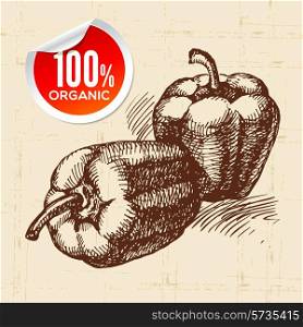 Hand drawn sketch vegetable peppers. Eco food background.Vector illustration