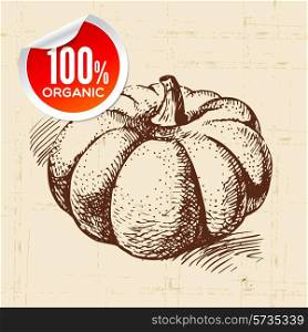 Hand drawn sketch vegetable pumpkin. Eco food background.Vector illustration