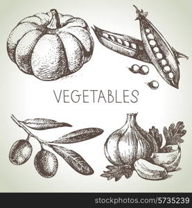 Hand drawn sketch vegetable set. Eco foods.Vector illustration